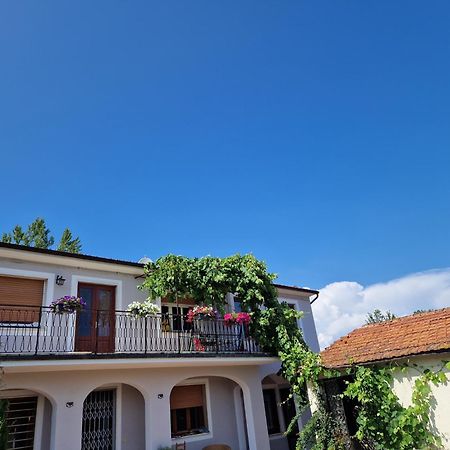 Appartement La Casa Nella Vigna Colline Del Vino à Capannori Extérieur photo