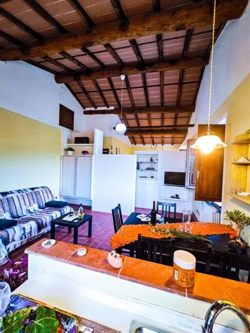 Appartement La Casa Nella Vigna Colline Del Vino à Capannori Extérieur photo