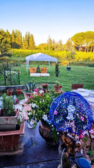 Appartement La Casa Nella Vigna Colline Del Vino à Capannori Extérieur photo
