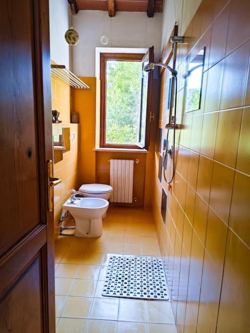 Appartement La Casa Nella Vigna Colline Del Vino à Capannori Extérieur photo