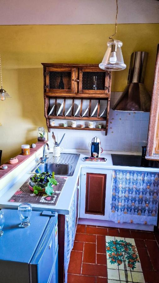 Appartement La Casa Nella Vigna Colline Del Vino à Capannori Extérieur photo