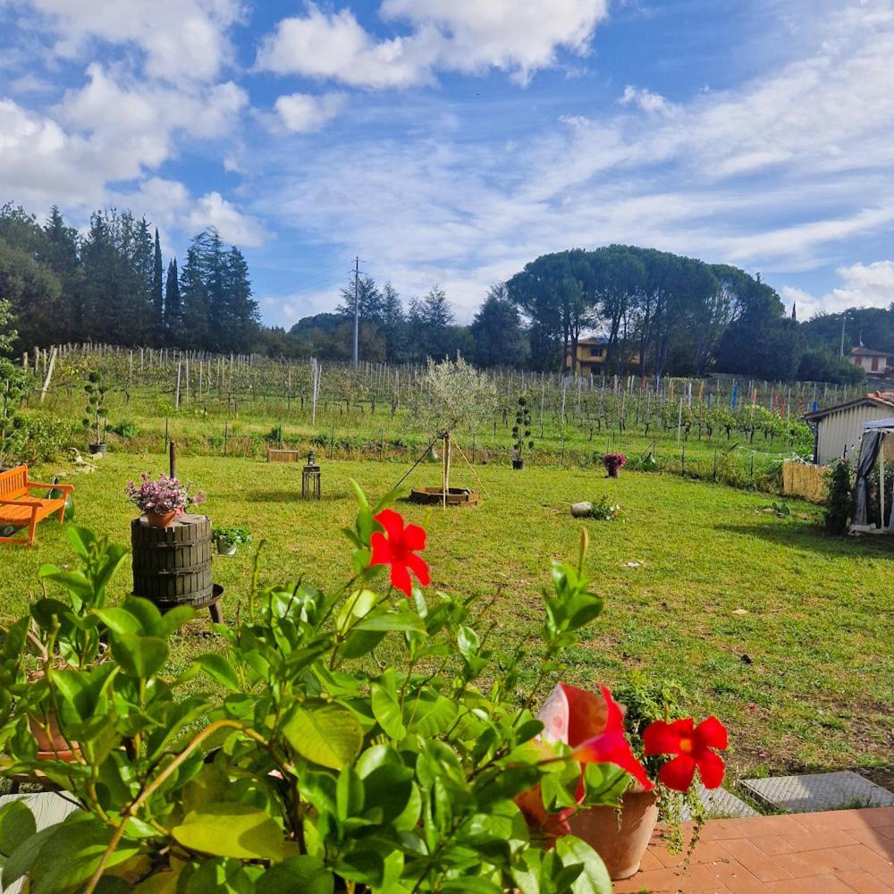 Appartement La Casa Nella Vigna Colline Del Vino à Capannori Extérieur photo