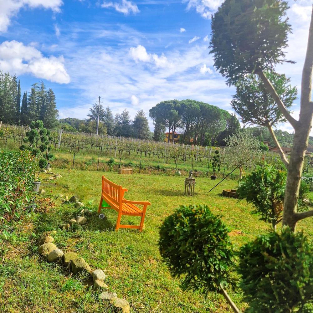 Appartement La Casa Nella Vigna Colline Del Vino à Capannori Extérieur photo