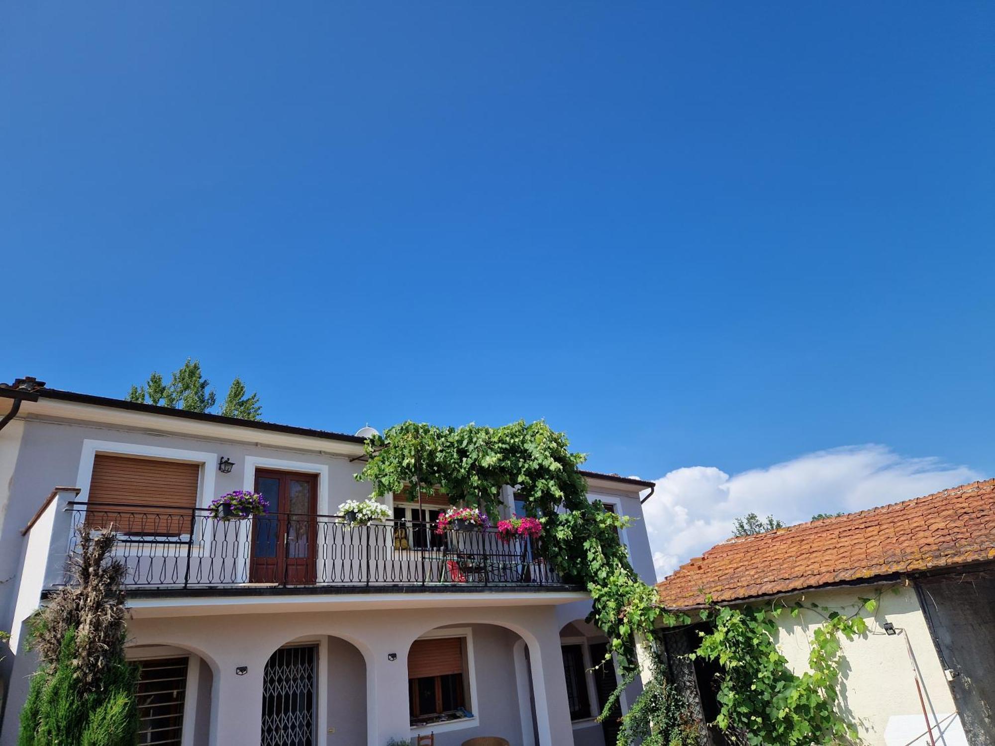 Appartement La Casa Nella Vigna Colline Del Vino à Capannori Extérieur photo