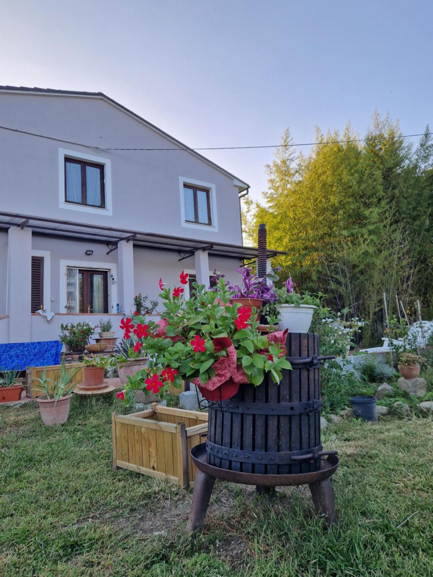 Appartement La Casa Nella Vigna Colline Del Vino à Capannori Extérieur photo