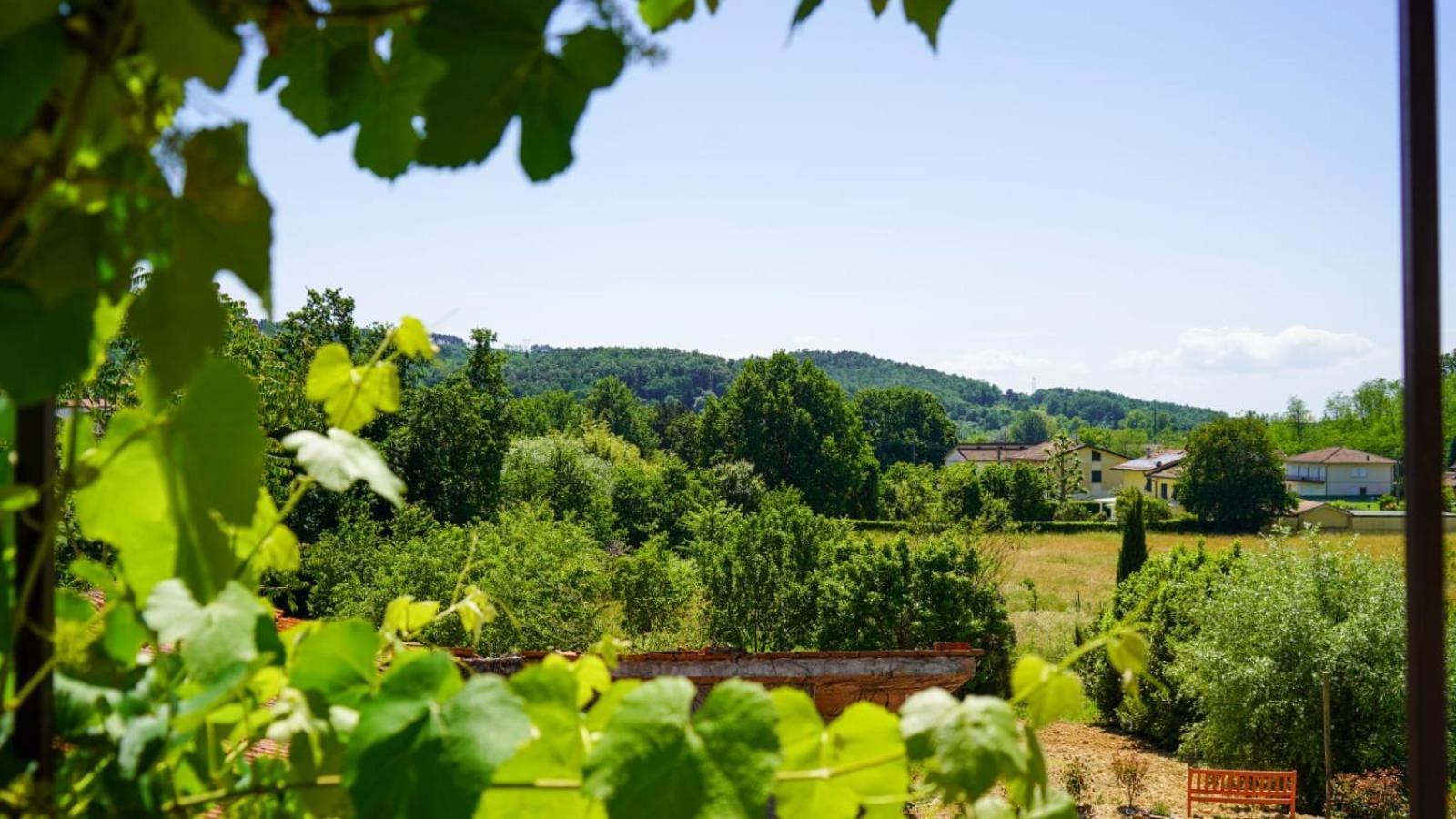 Appartement La Casa Nella Vigna Colline Del Vino à Capannori Extérieur photo