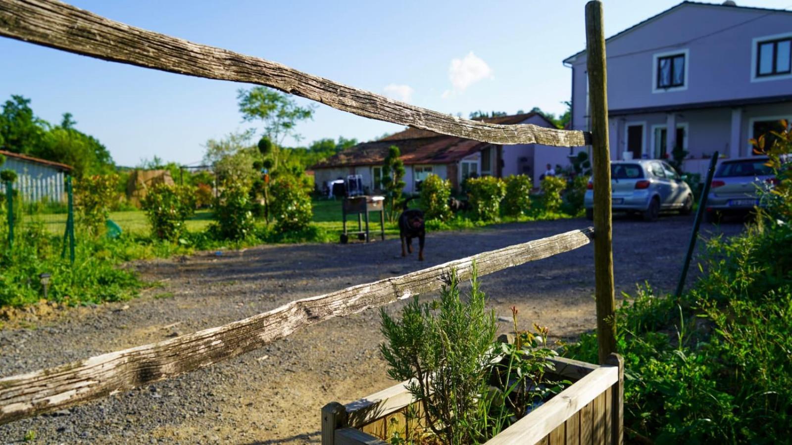 Appartement La Casa Nella Vigna Colline Del Vino à Capannori Extérieur photo