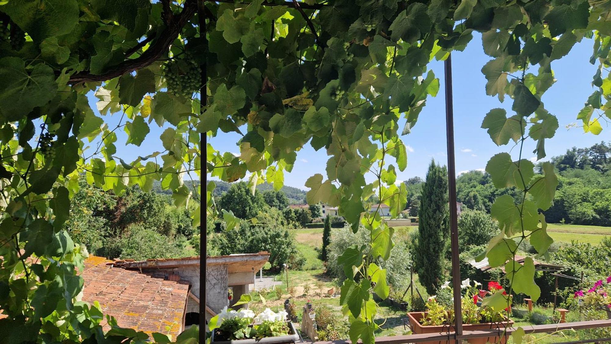 Appartement La Casa Nella Vigna Colline Del Vino à Capannori Extérieur photo